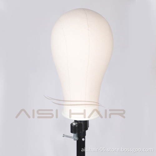 Aisi Hair Professional Poly Canvas Block Mannequin Head for Wig Making Displaying Drying Free Gifts